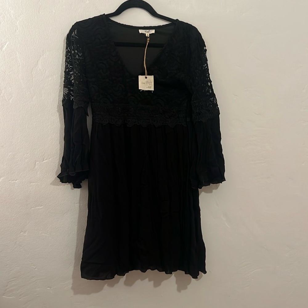 Easel black lace dress